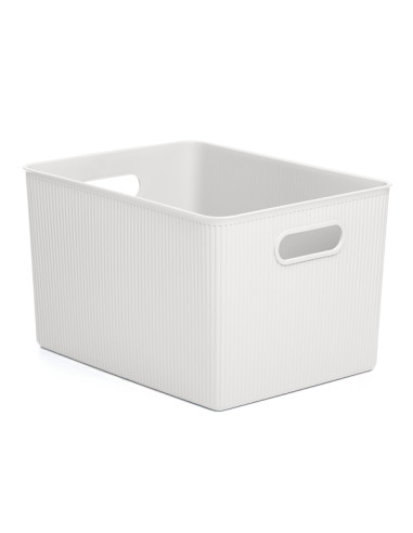 CAJA ORDEN XL BAOBAB PERGA 22L 30X39X23CM