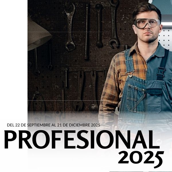 PROFESIONAL 2025